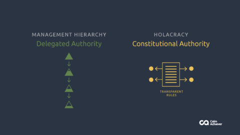 Holacracy Vs Management Hierarchy - Calm Achiever